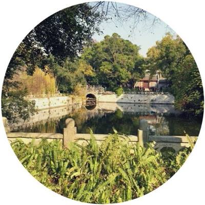 三国志之九州战手游下载